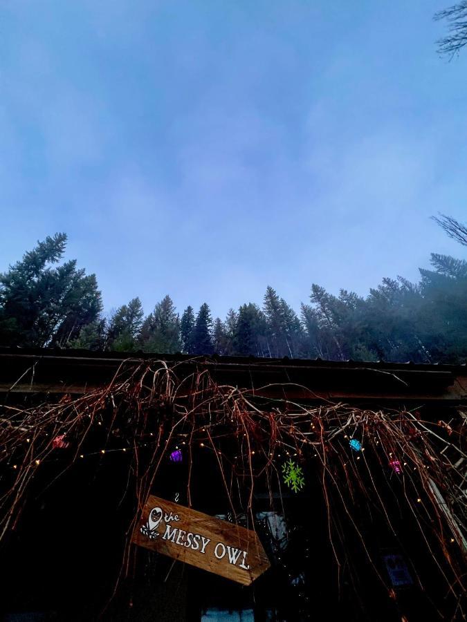 The Messy Owl Inn & Eco Haven Likely 외부 사진