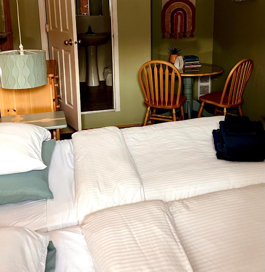 The Messy Owl Inn & Eco Haven Likely 외부 사진