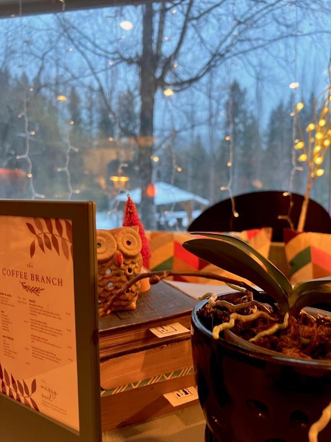 The Messy Owl Inn & Eco Haven Likely 외부 사진
